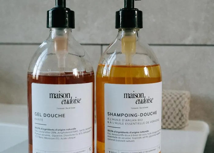 Maison Eudoise, Piscine Et Ferienhaus